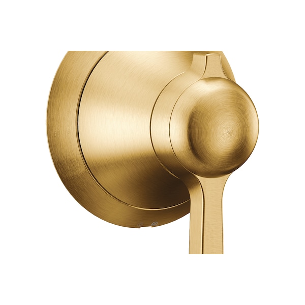 Volume Control Brushed Gold